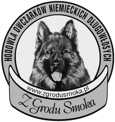 Z Grodu Smoka
