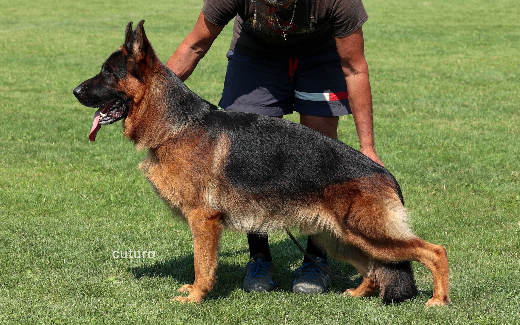 QUEBO Cuturo