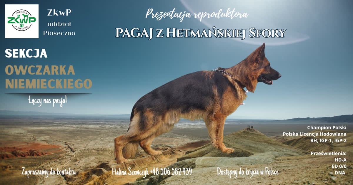 PAGAJ z Hetmańskiej Sfory
