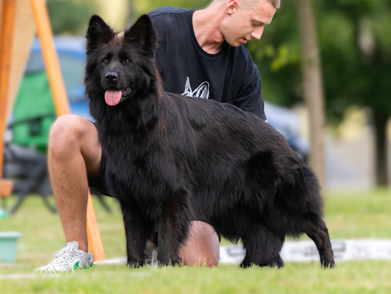 ETNA vom Edlen Wolf