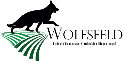 WOLFSFELD FCI